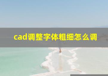 cad调整字体粗细怎么调