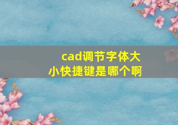 cad调节字体大小快捷键是哪个啊