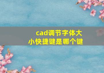 cad调节字体大小快捷键是哪个键