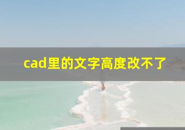 cad里的文字高度改不了