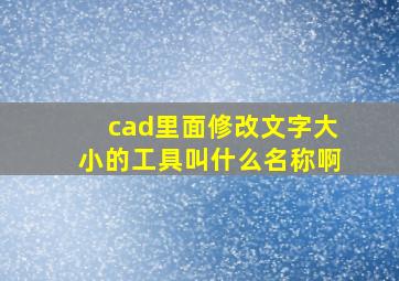 cad里面修改文字大小的工具叫什么名称啊