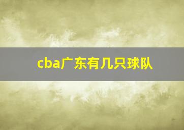 cba广东有几只球队