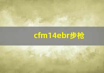 cfm14ebr步枪