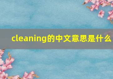 cleaning的中文意思是什么