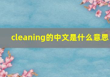 cleaning的中文是什么意思