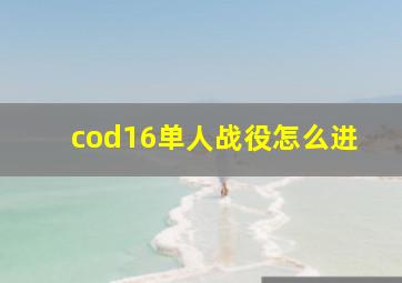 cod16单人战役怎么进