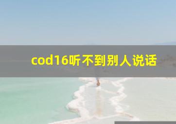 cod16听不到别人说话