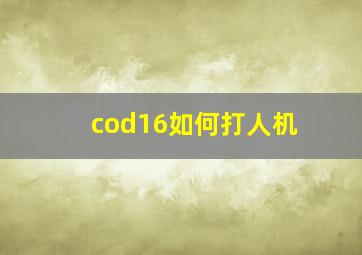 cod16如何打人机