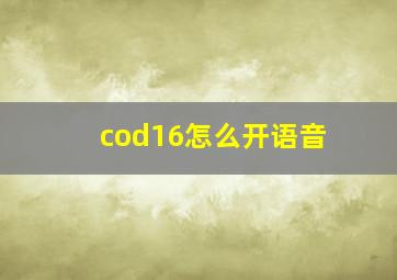 cod16怎么开语音