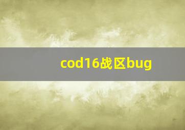 cod16战区bug