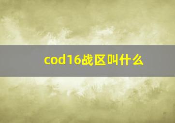 cod16战区叫什么