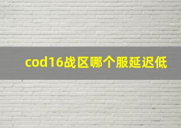 cod16战区哪个服延迟低