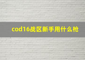 cod16战区新手用什么枪