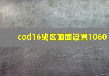 cod16战区画面设置1060