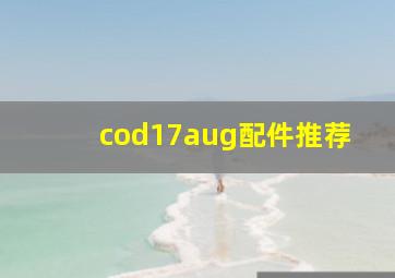 cod17aug配件推荐