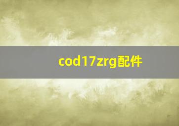 cod17zrg配件