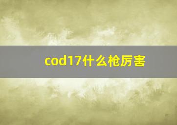 cod17什么枪厉害