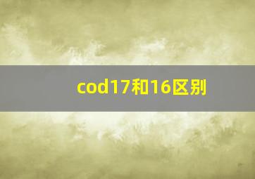 cod17和16区别