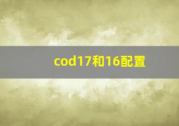 cod17和16配置