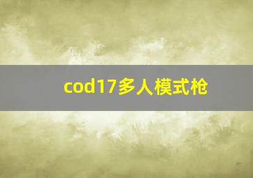 cod17多人模式枪