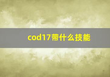 cod17带什么技能