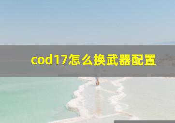 cod17怎么换武器配置