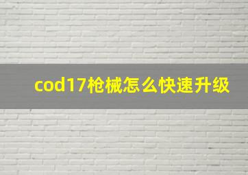 cod17枪械怎么快速升级