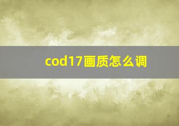 cod17画质怎么调