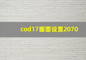 cod17画面设置2070