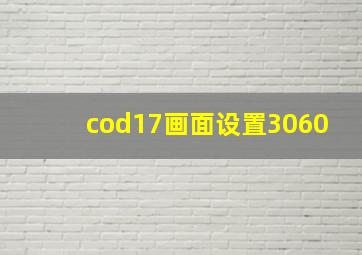 cod17画面设置3060