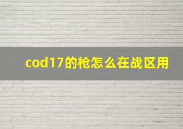 cod17的枪怎么在战区用