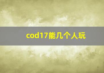 cod17能几个人玩