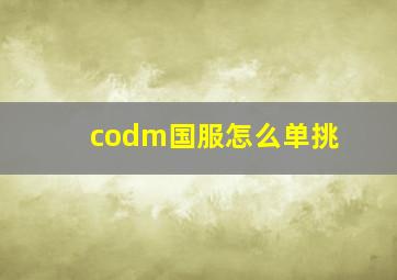 codm国服怎么单挑