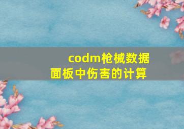 codm枪械数据面板中伤害的计算