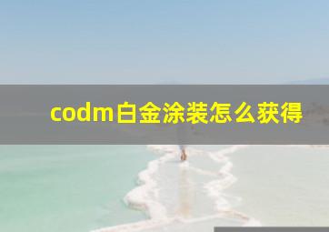 codm白金涂装怎么获得