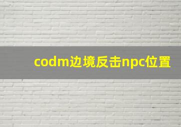 codm边境反击npc位置