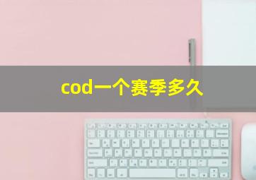 cod一个赛季多久