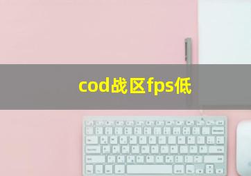 cod战区fps低