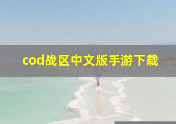 cod战区中文版手游下载