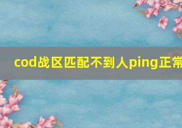 cod战区匹配不到人ping正常