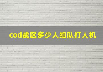 cod战区多少人组队打人机