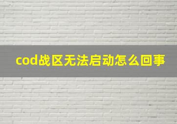 cod战区无法启动怎么回事