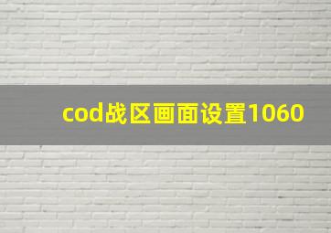 cod战区画面设置1060