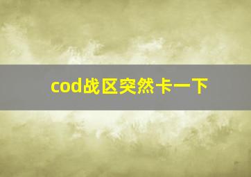 cod战区突然卡一下