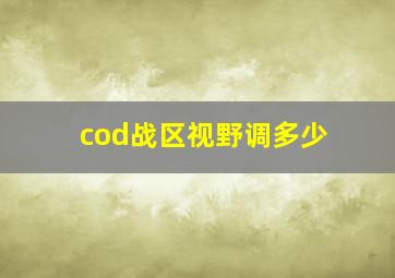 cod战区视野调多少