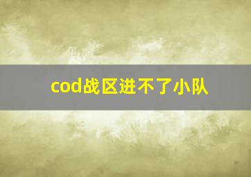 cod战区进不了小队