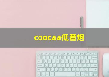 coocaa低音炮