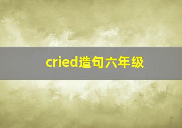 cried造句六年级