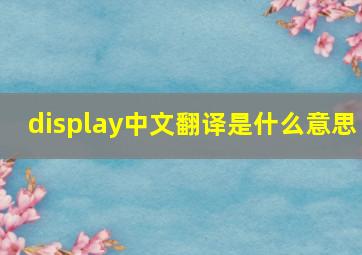 display中文翻译是什么意思