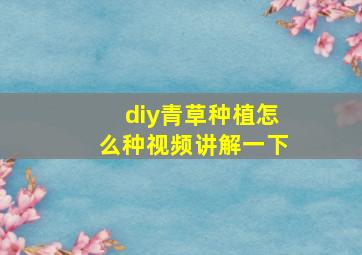 diy青草种植怎么种视频讲解一下